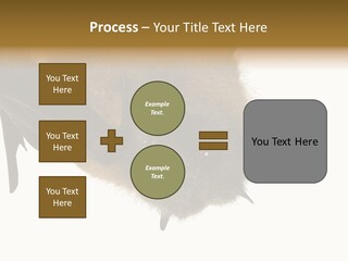 Wild Bat Black PowerPoint Template