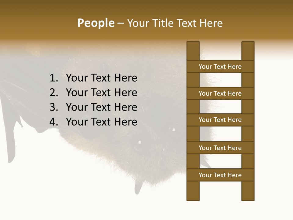 Wild Bat Black PowerPoint Template