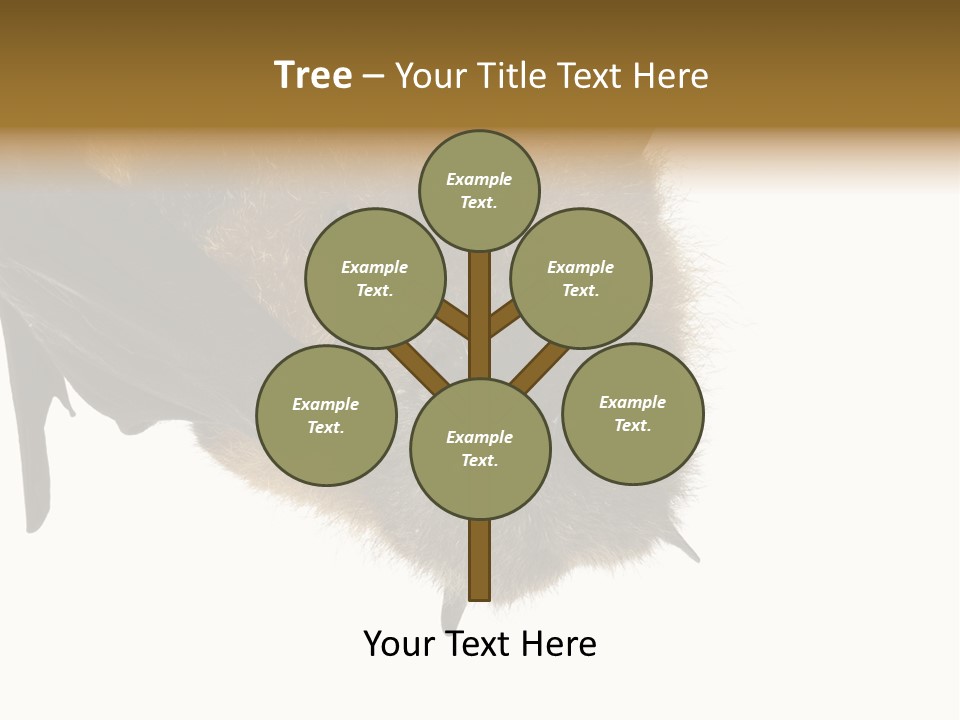 Wild Bat Black PowerPoint Template