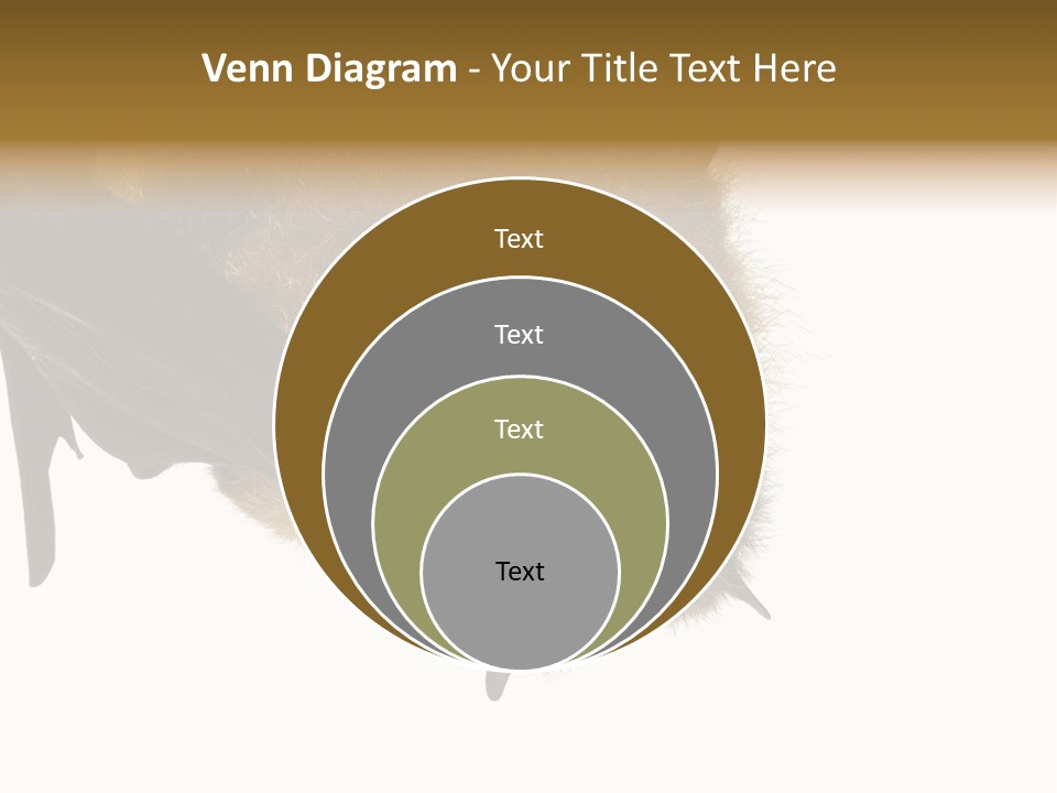 Wild Bat Black PowerPoint Template