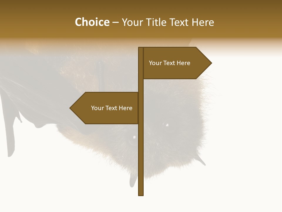 Wild Bat Black PowerPoint Template