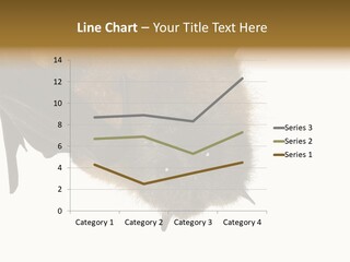 Wild Bat Black PowerPoint Template