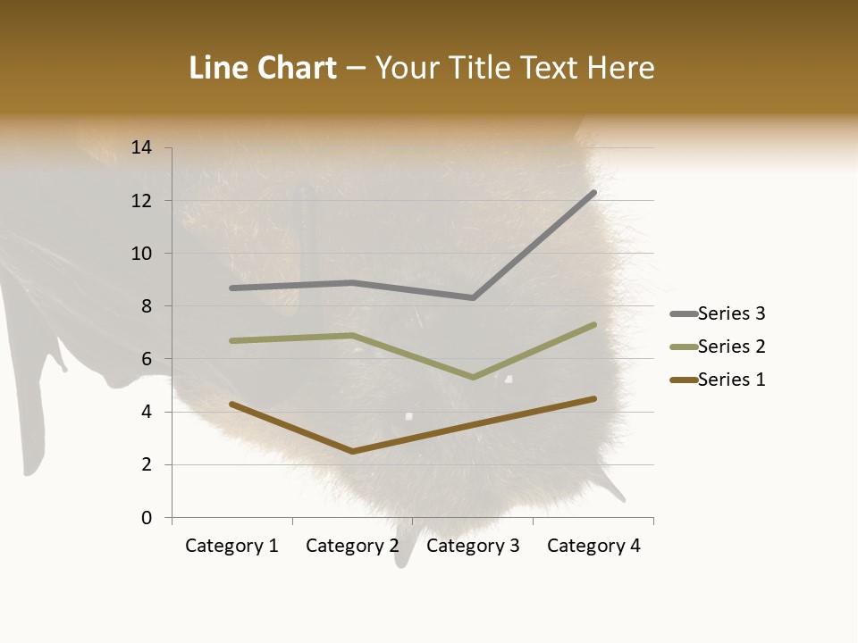 Wild Bat Black PowerPoint Template