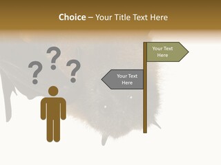 Wild Bat Black PowerPoint Template