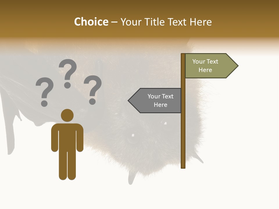 Wild Bat Black PowerPoint Template
