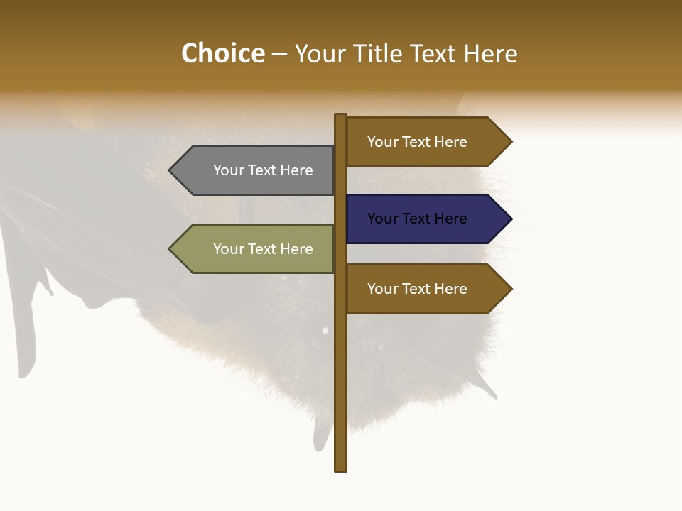 Wild Bat Black PowerPoint Template