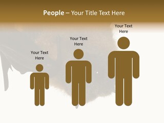 Wild Bat Black PowerPoint Template