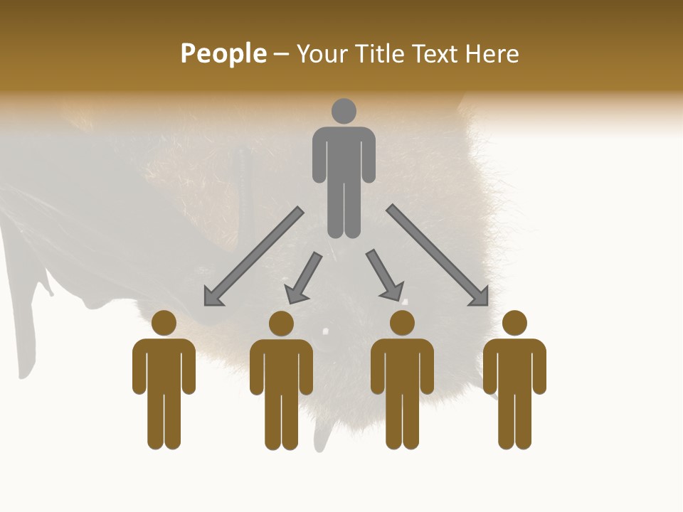 Wild Bat Black PowerPoint Template