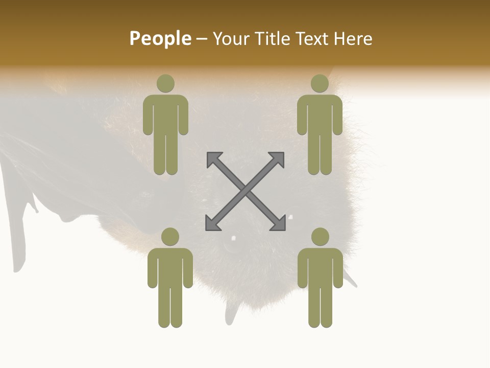 Wild Bat Black PowerPoint Template