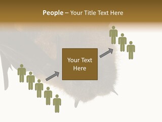 Wild Bat Black PowerPoint Template