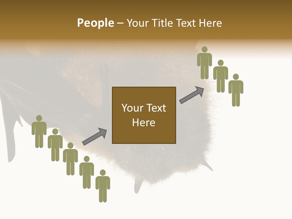 Wild Bat Black PowerPoint Template