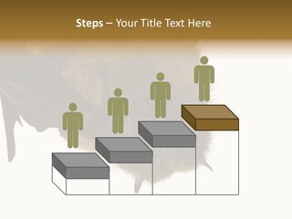 Wild Bat Black PowerPoint Template