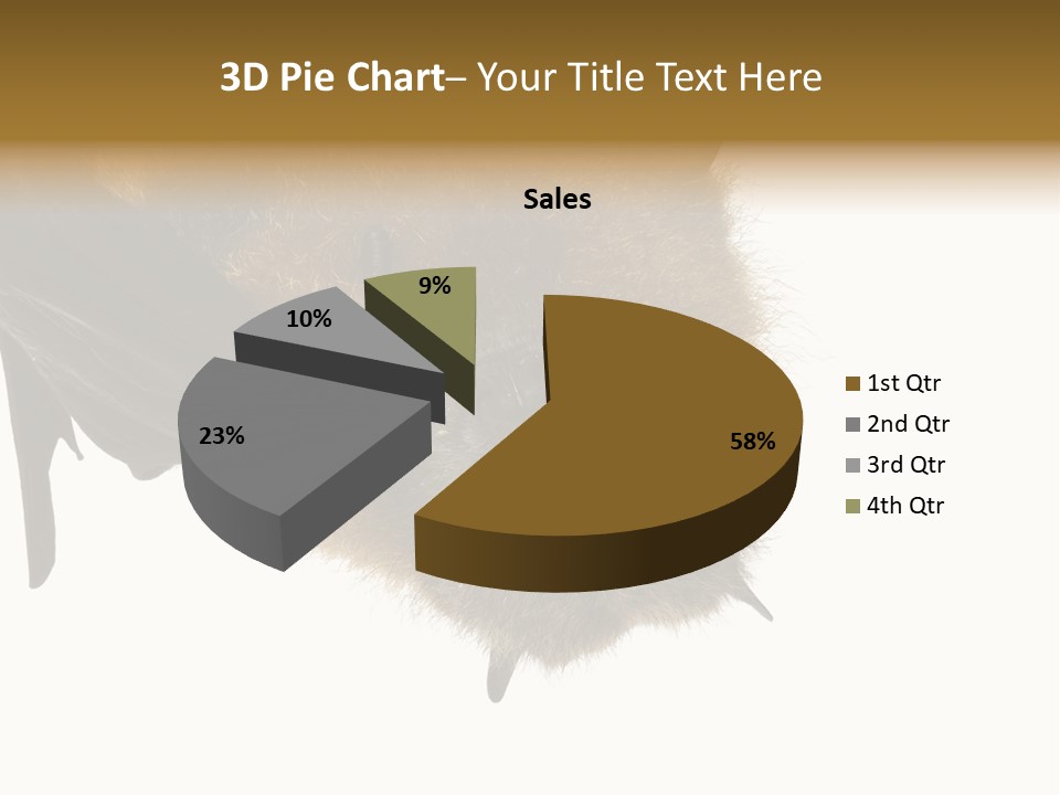 Wild Bat Black PowerPoint Template
