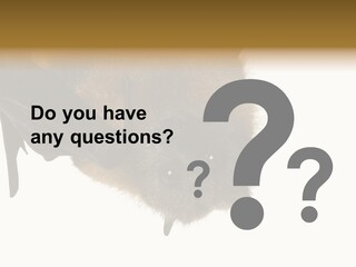 Wild Bat Black PowerPoint Template