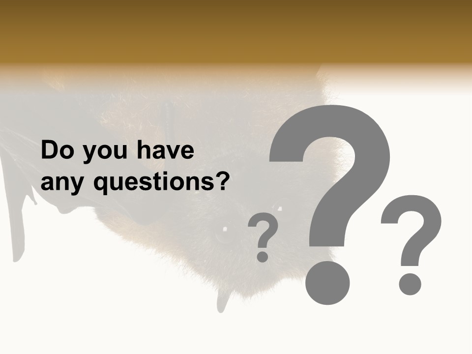 Wild Bat Black PowerPoint Template