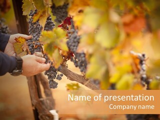 France Food October PowerPoint Template