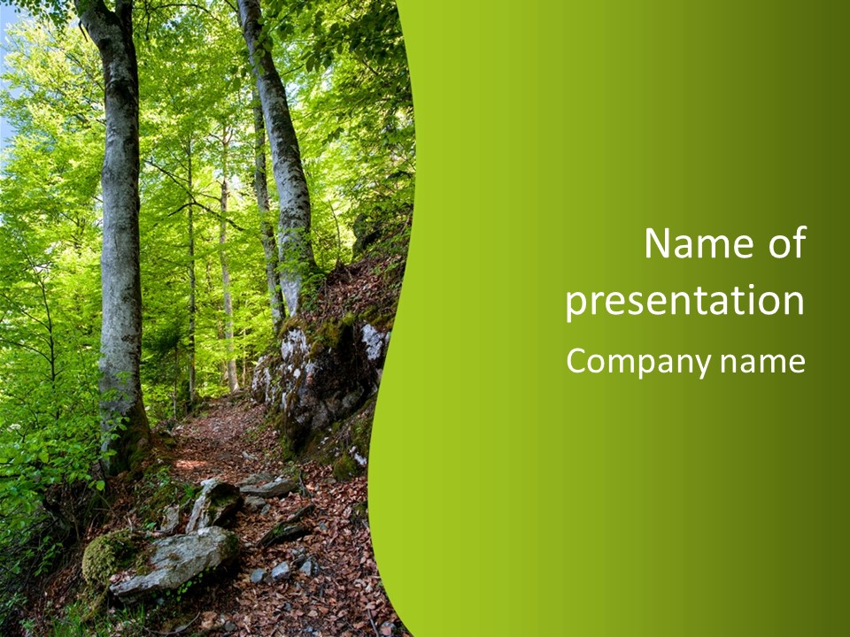 A Path In The Woods With A Green Background PowerPoint Template