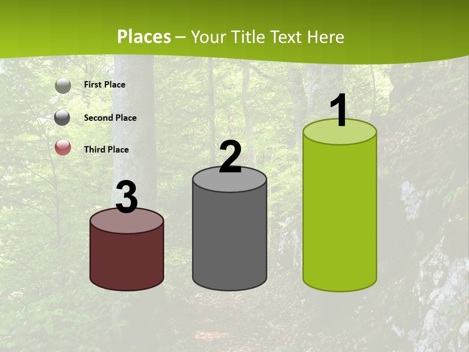 A Path In The Woods With A Green Background PowerPoint Template