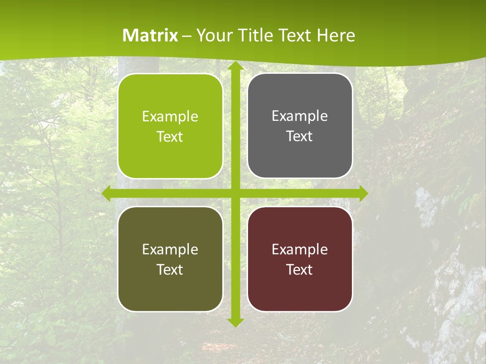 A Path In The Woods With A Green Background PowerPoint Template