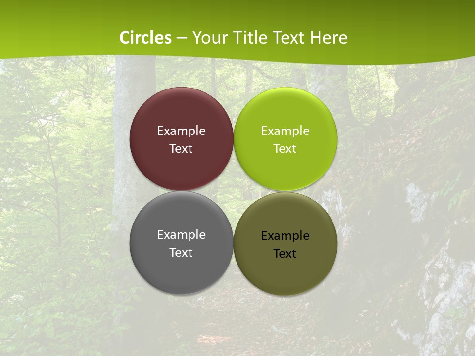 A Path In The Woods With A Green Background PowerPoint Template