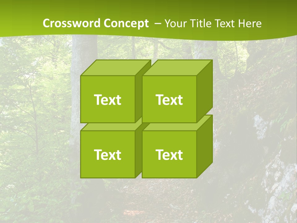 A Path In The Woods With A Green Background PowerPoint Template