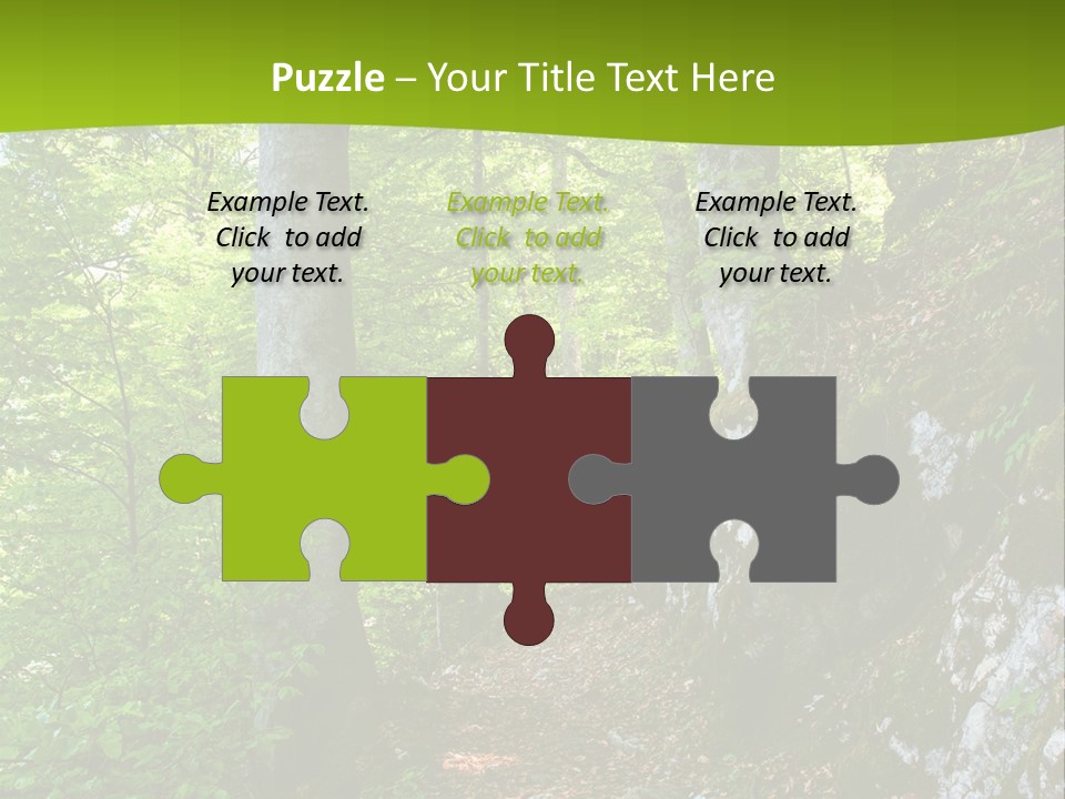 A Path In The Woods With A Green Background PowerPoint Template