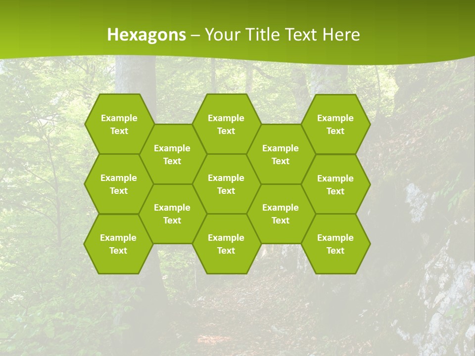 A Path In The Woods With A Green Background PowerPoint Template