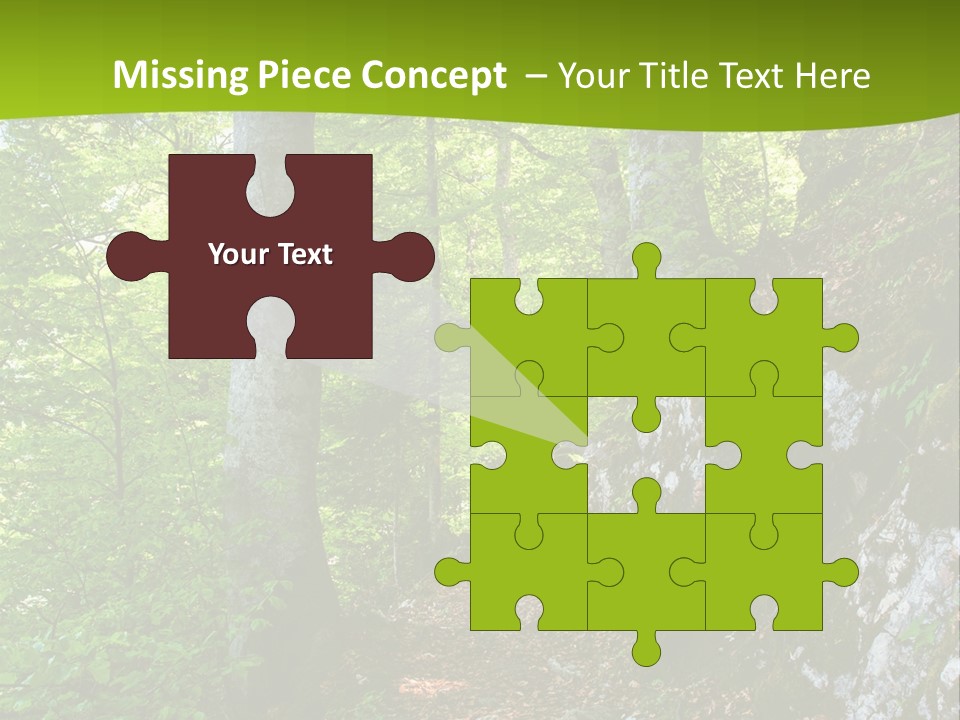 A Path In The Woods With A Green Background PowerPoint Template