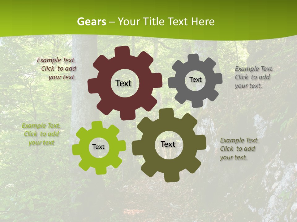 A Path In The Woods With A Green Background PowerPoint Template