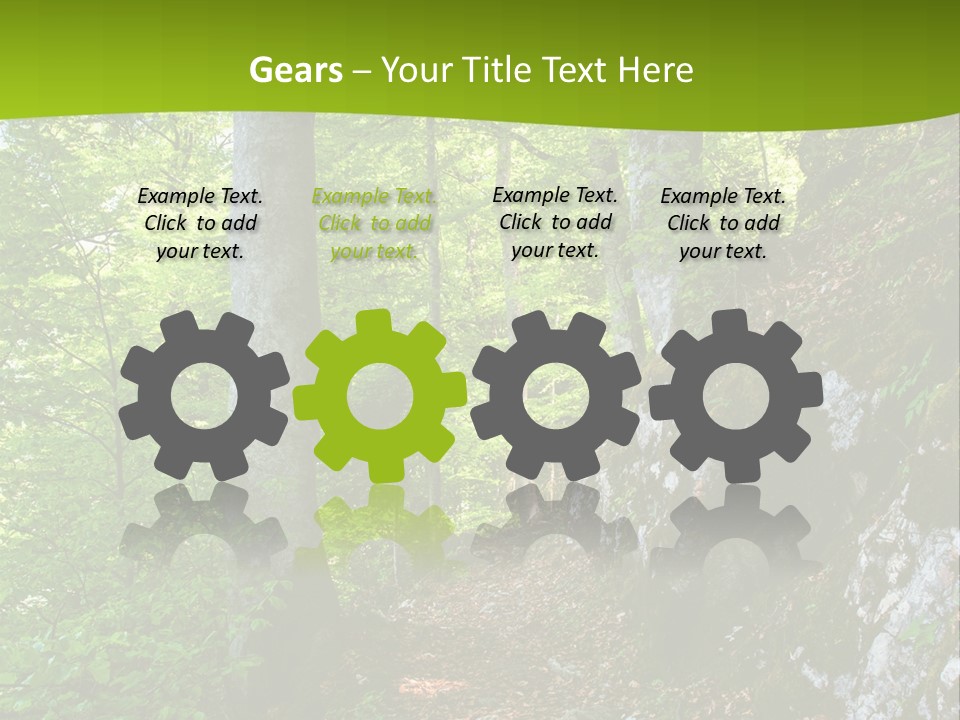 A Path In The Woods With A Green Background PowerPoint Template