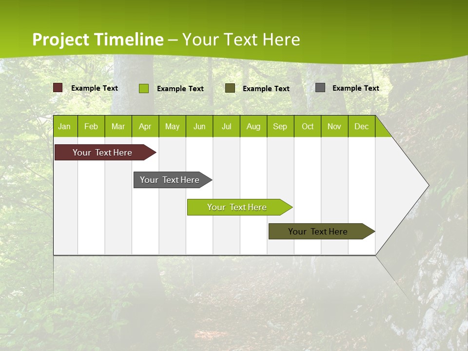 A Path In The Woods With A Green Background PowerPoint Template
