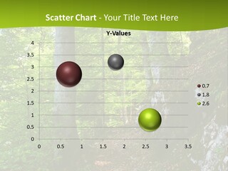 A Path In The Woods With A Green Background PowerPoint Template