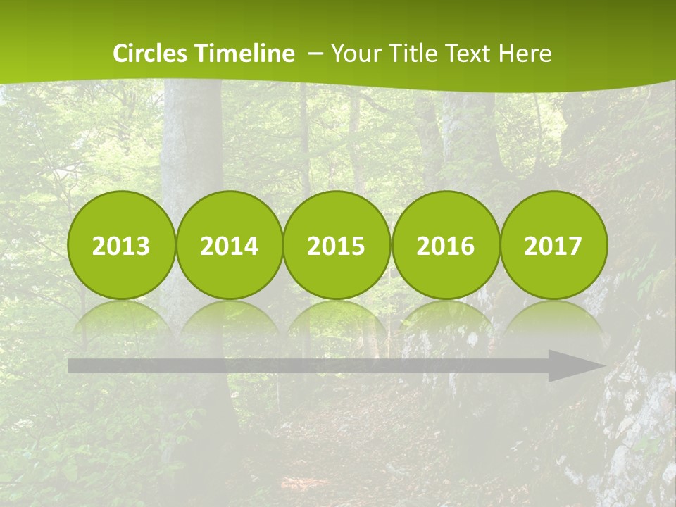 A Path In The Woods With A Green Background PowerPoint Template