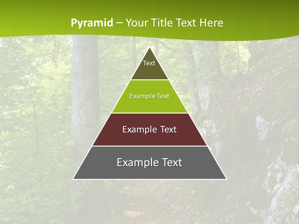 A Path In The Woods With A Green Background PowerPoint Template