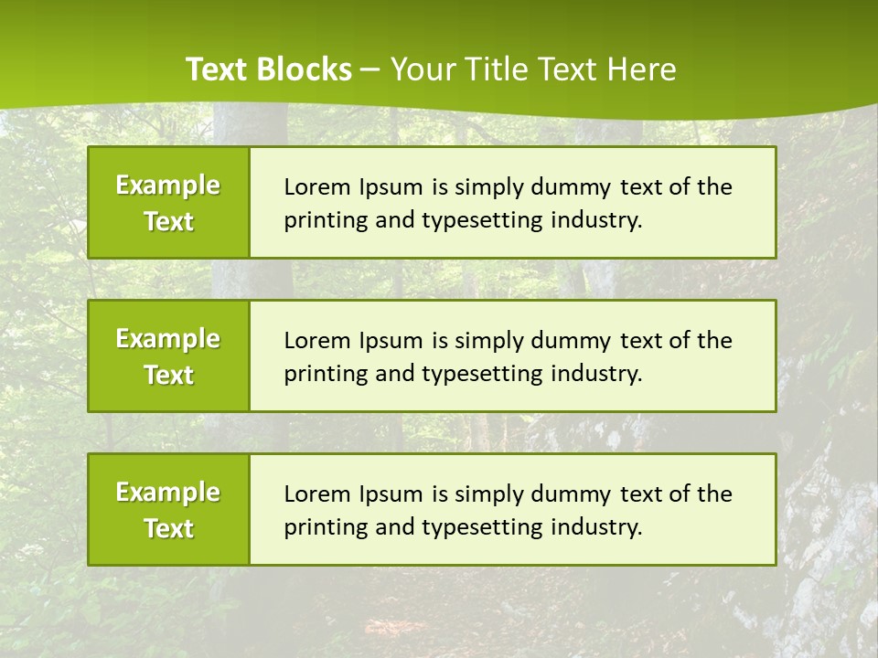 A Path In The Woods With A Green Background PowerPoint Template