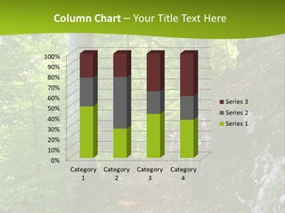 A Path In The Woods With A Green Background PowerPoint Template