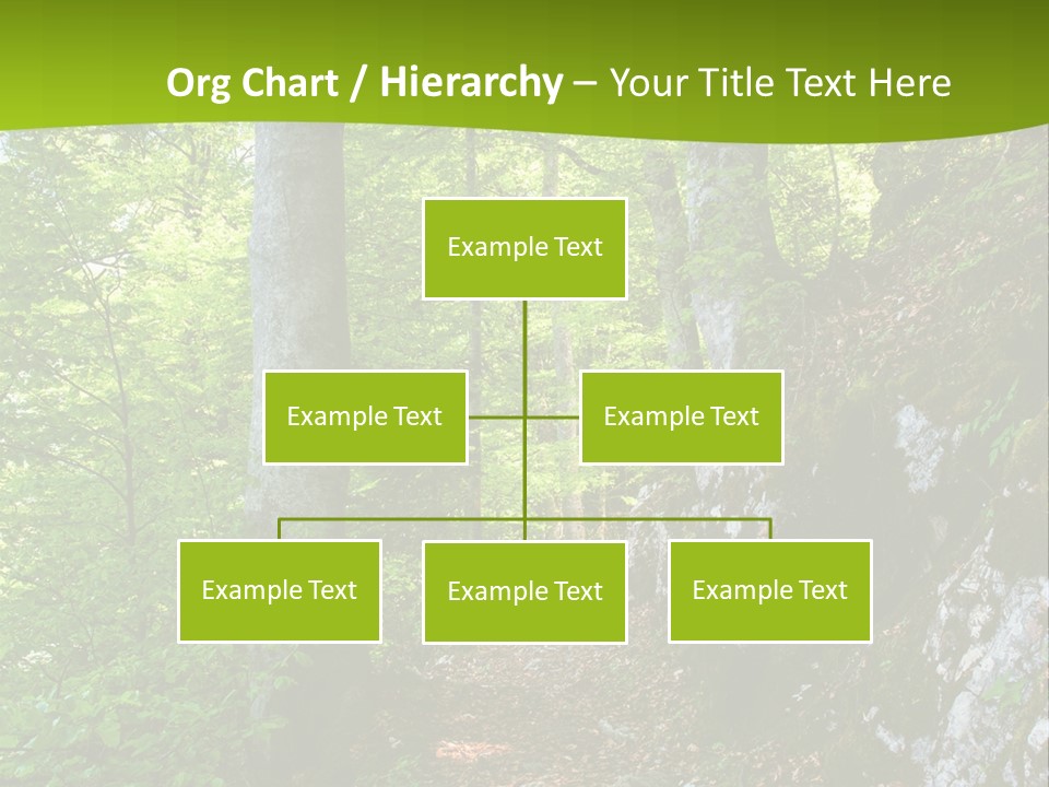 A Path In The Woods With A Green Background PowerPoint Template