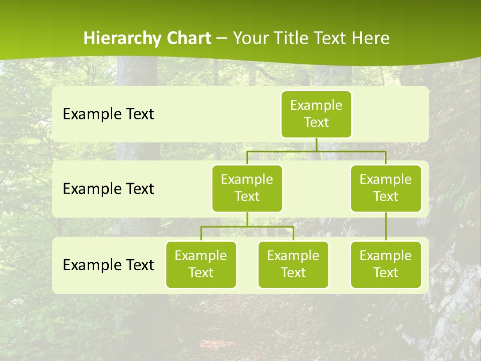 A Path In The Woods With A Green Background PowerPoint Template
