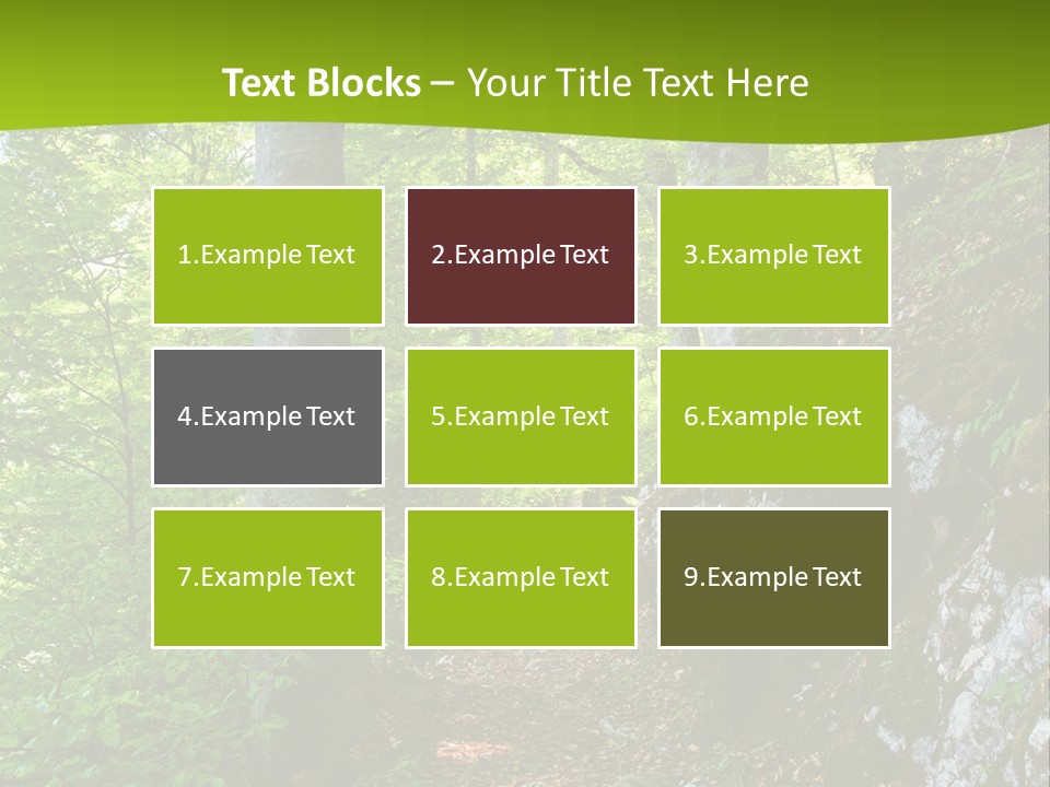 A Path In The Woods With A Green Background PowerPoint Template