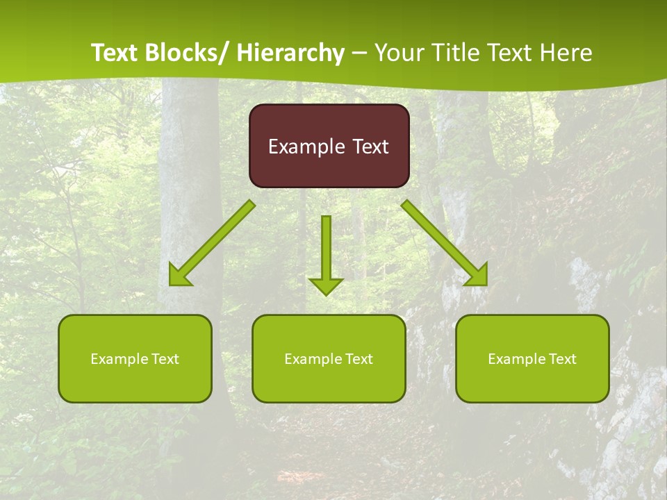 A Path In The Woods With A Green Background PowerPoint Template