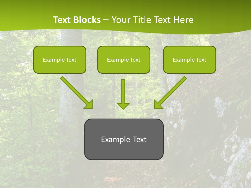 A Path In The Woods With A Green Background PowerPoint Template