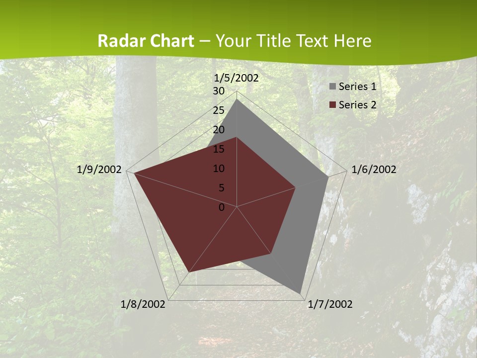 A Path In The Woods With A Green Background PowerPoint Template