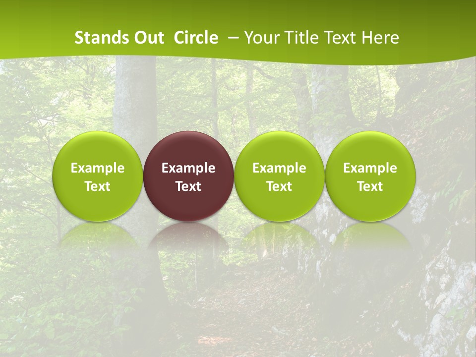 A Path In The Woods With A Green Background PowerPoint Template
