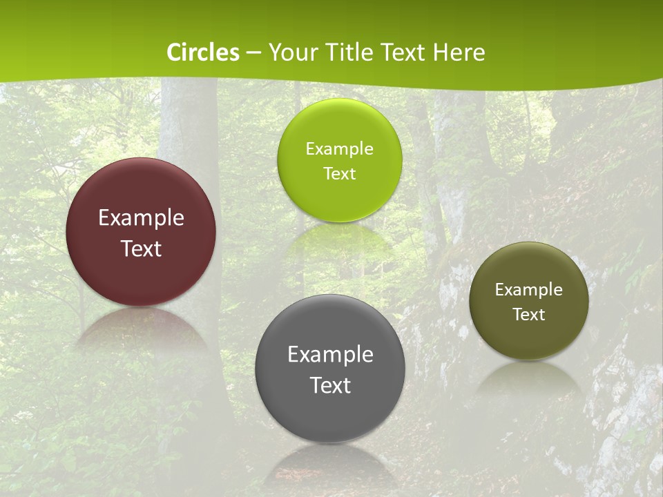 A Path In The Woods With A Green Background PowerPoint Template