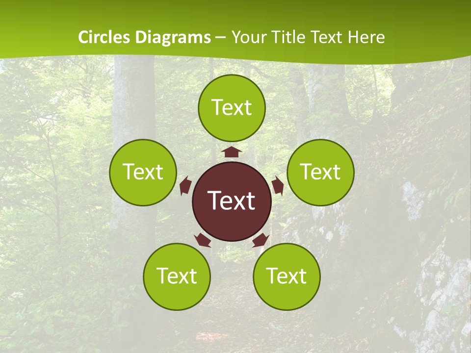 A Path In The Woods With A Green Background PowerPoint Template