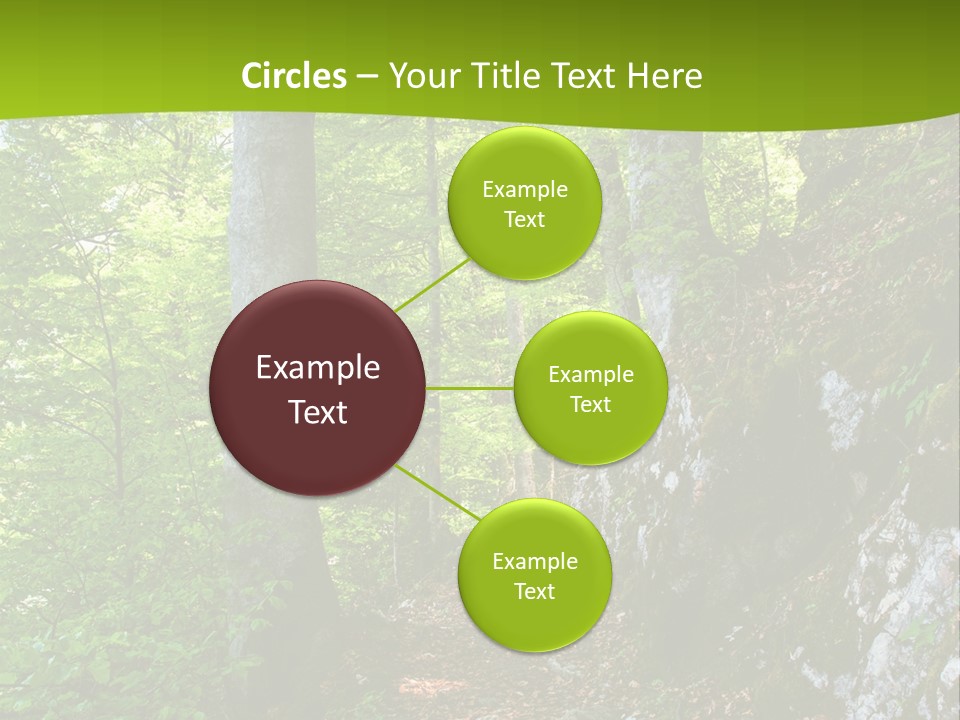 A Path In The Woods With A Green Background PowerPoint Template