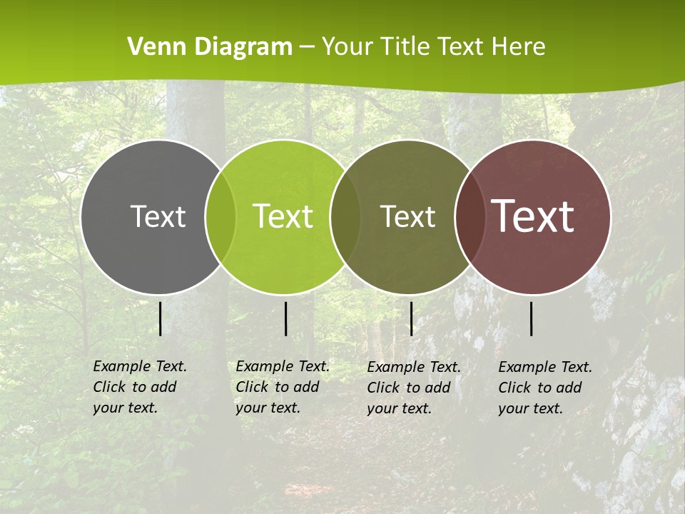 A Path In The Woods With A Green Background PowerPoint Template
