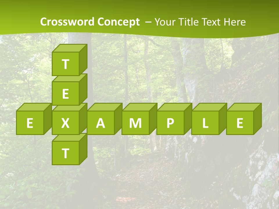 A Path In The Woods With A Green Background PowerPoint Template