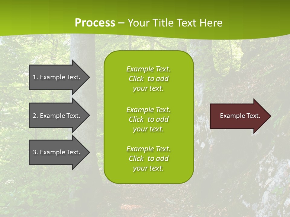 A Path In The Woods With A Green Background PowerPoint Template