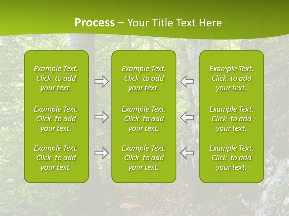 A Path In The Woods With A Green Background PowerPoint Template